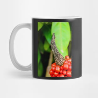 Red peppercorn with bird beak Mug